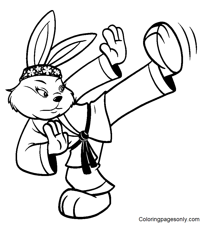 武术中的跆拳道兔子