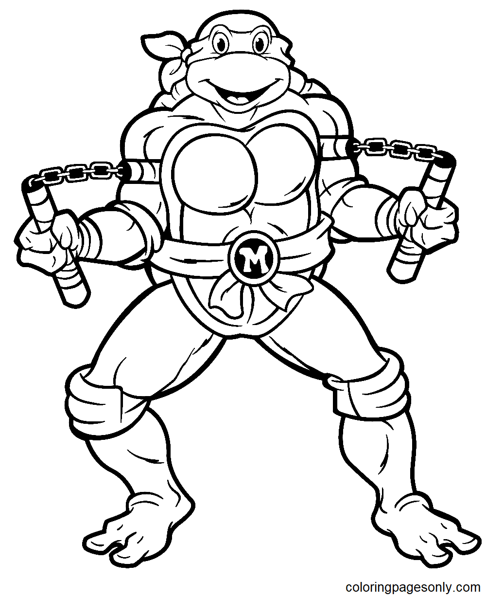 忍者神龟 米开朗基罗 出自《忍者神龟》