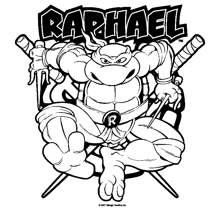 Teenage Mutant Ninja Turtles Raphael van Ninja Turtles