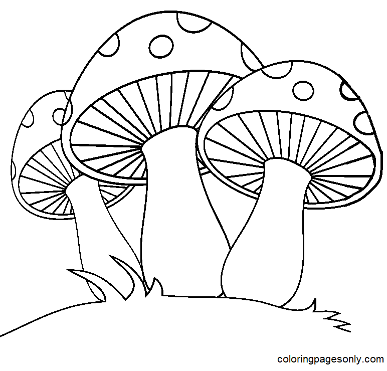 Three Mushrooms for Kids Coloring Page
