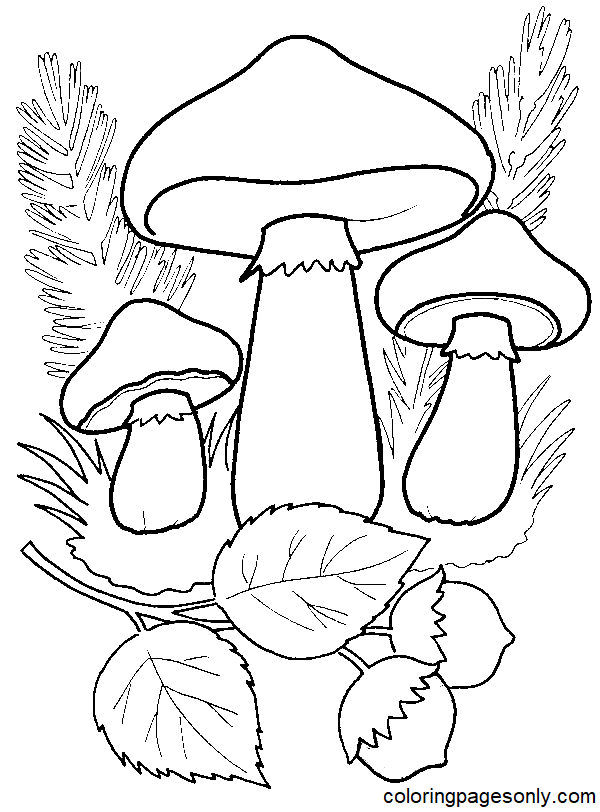 Three Mushrooms to Print Coloring Page