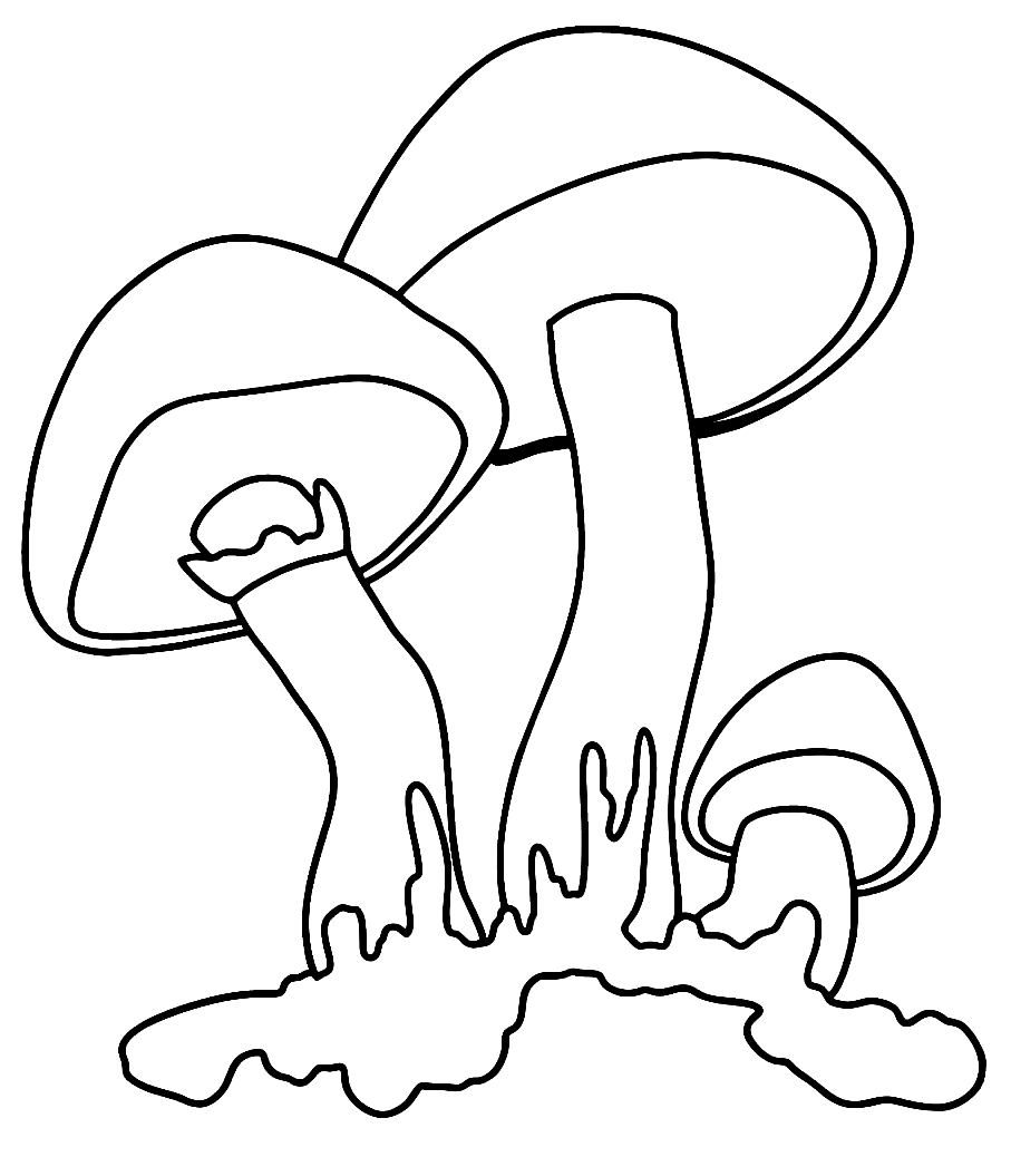 Pagina da colorare di tre semplici funghi