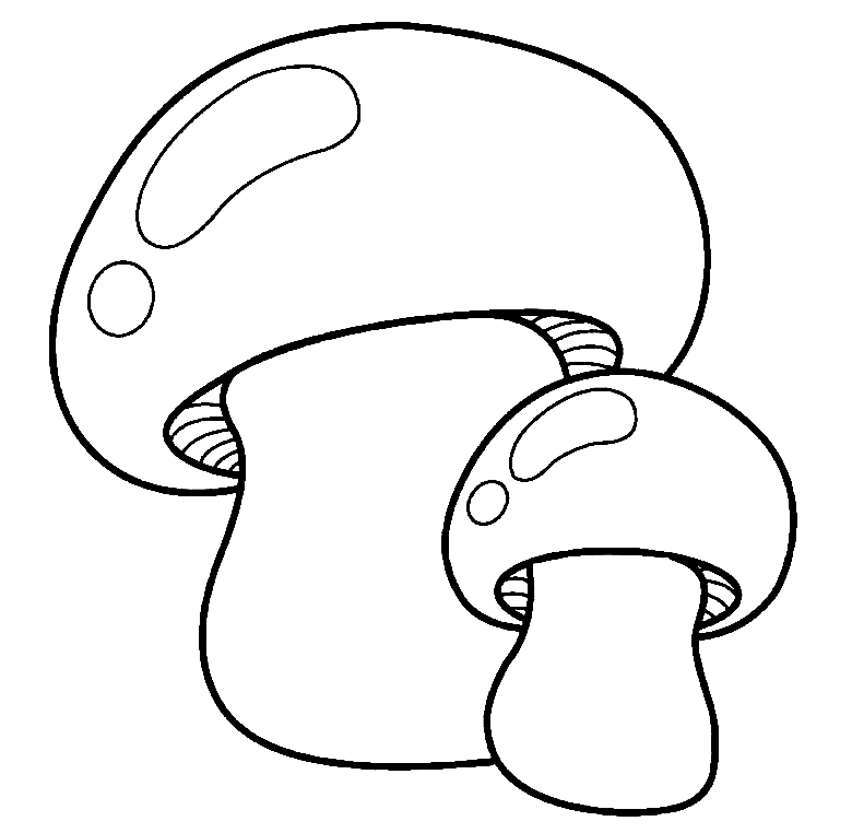 蘑菇里的两个可爱的蘑菇