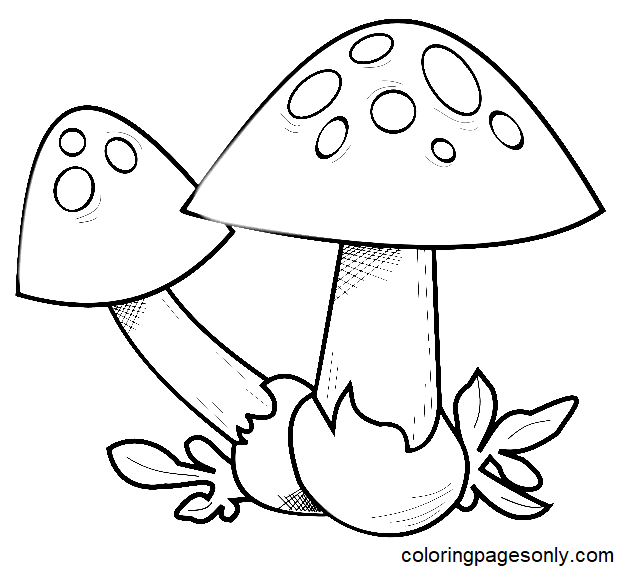 Pagina da colorare gratuita di due funghi