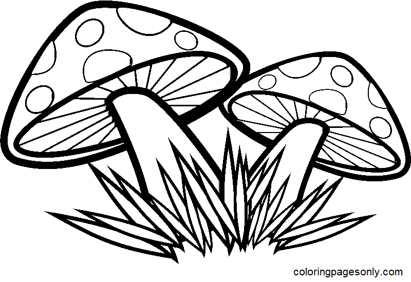 Two Mushrooms and Grass Coloring Page