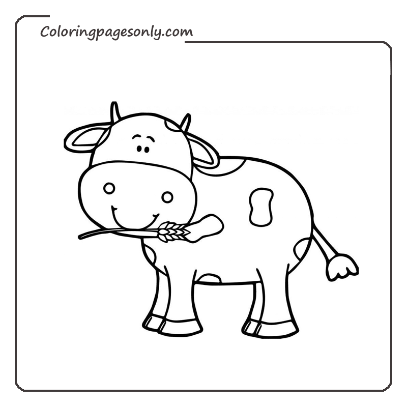 kids coloring pages of cows