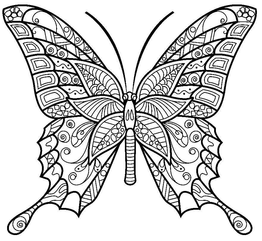 Zentangle mariposa para niños página para colorear