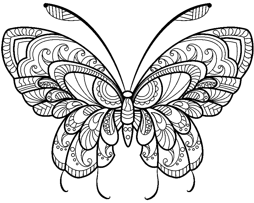 Бабочка в технике дзентангл из Butterfly