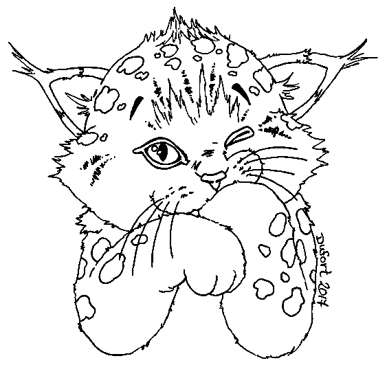 Adorable Lynx Coloring Page