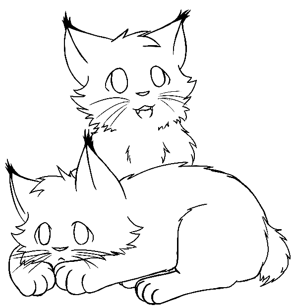Baby Lynx Coloring Page