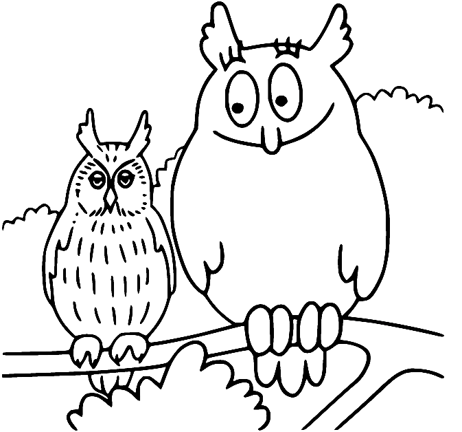 Barbabravo Turns into a Owl Coloring Page