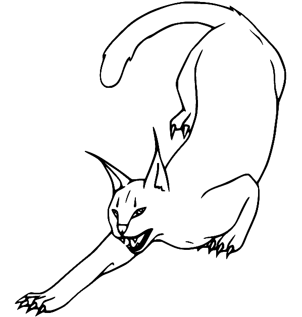 Caracal Attack Coloring Page