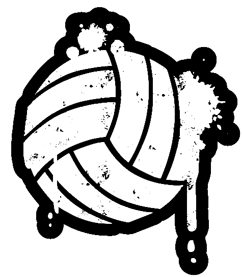Ballon de volley-ball cool de Volleyball
