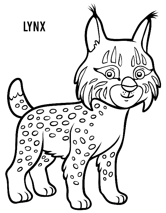 Cute Baby Lynx Coloring Pages  Lynx Coloring Pages  Coloring Pages