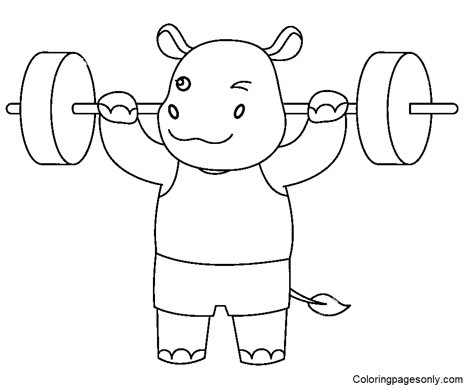 Schattig nijlpaard Gewichtheffen van Weightlifting