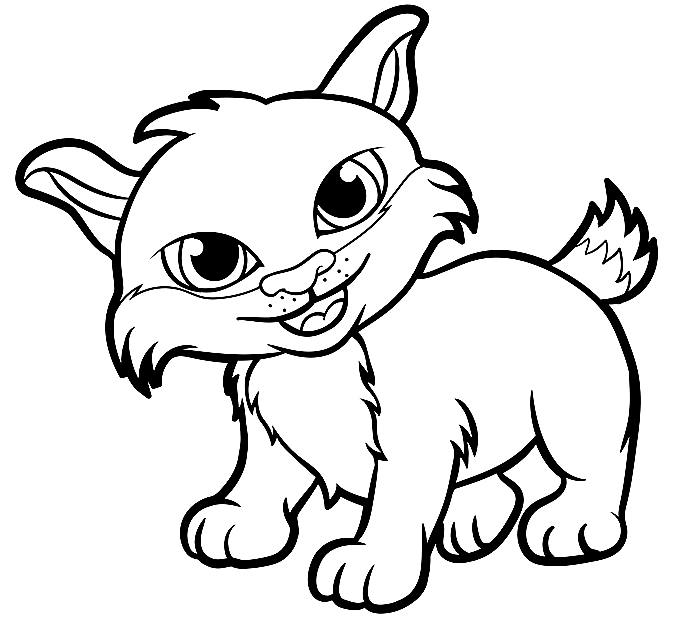 Free Printable Lynx Coloring Pages