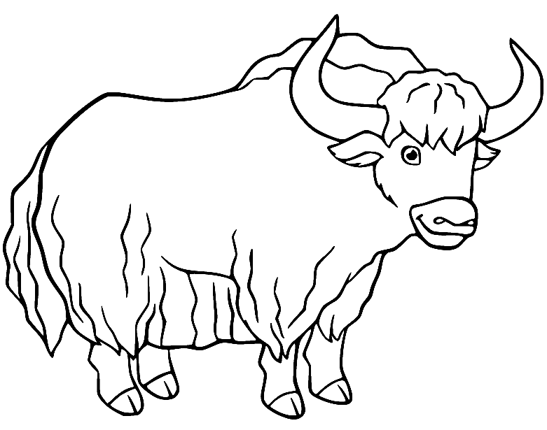 Free Printable Yak Coloring Pages