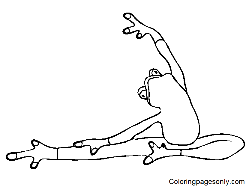 Rana haciendo yoga desde Yoga