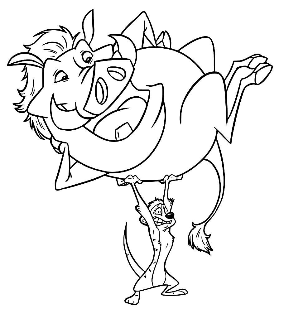 Funny Timon and Pumbaa from Timon and Pumbaa