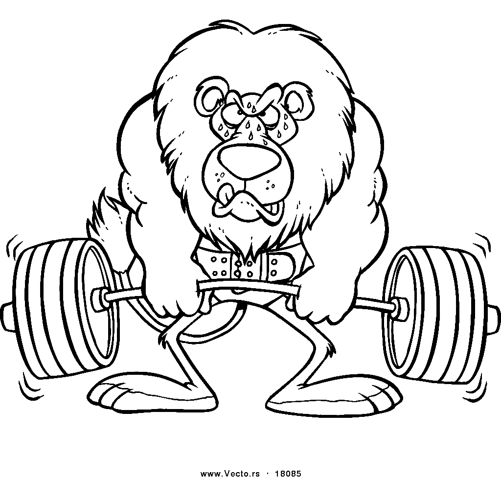 Lion Weightlifting Coloring Page