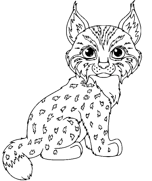 Little Lynx Coloring Page