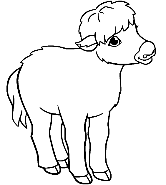 Little Yak Coloring Page