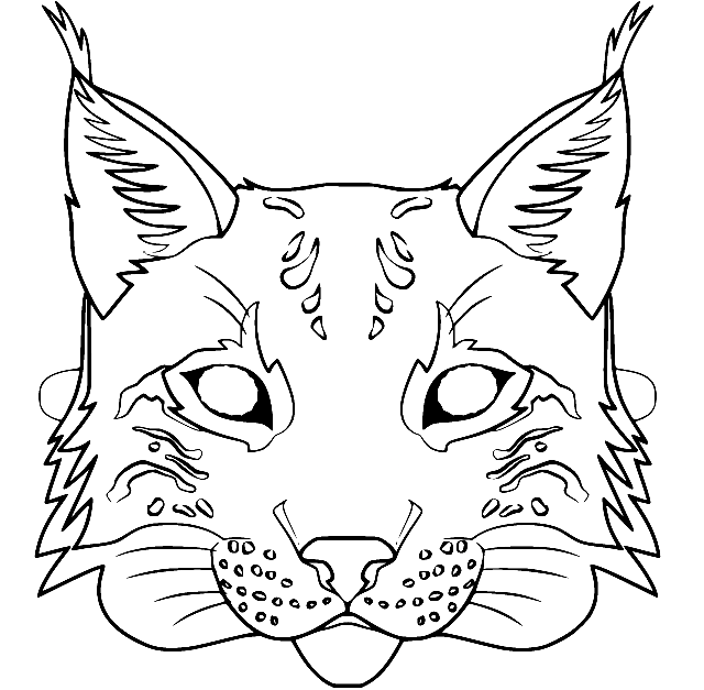 Maschera di lince di Lynx