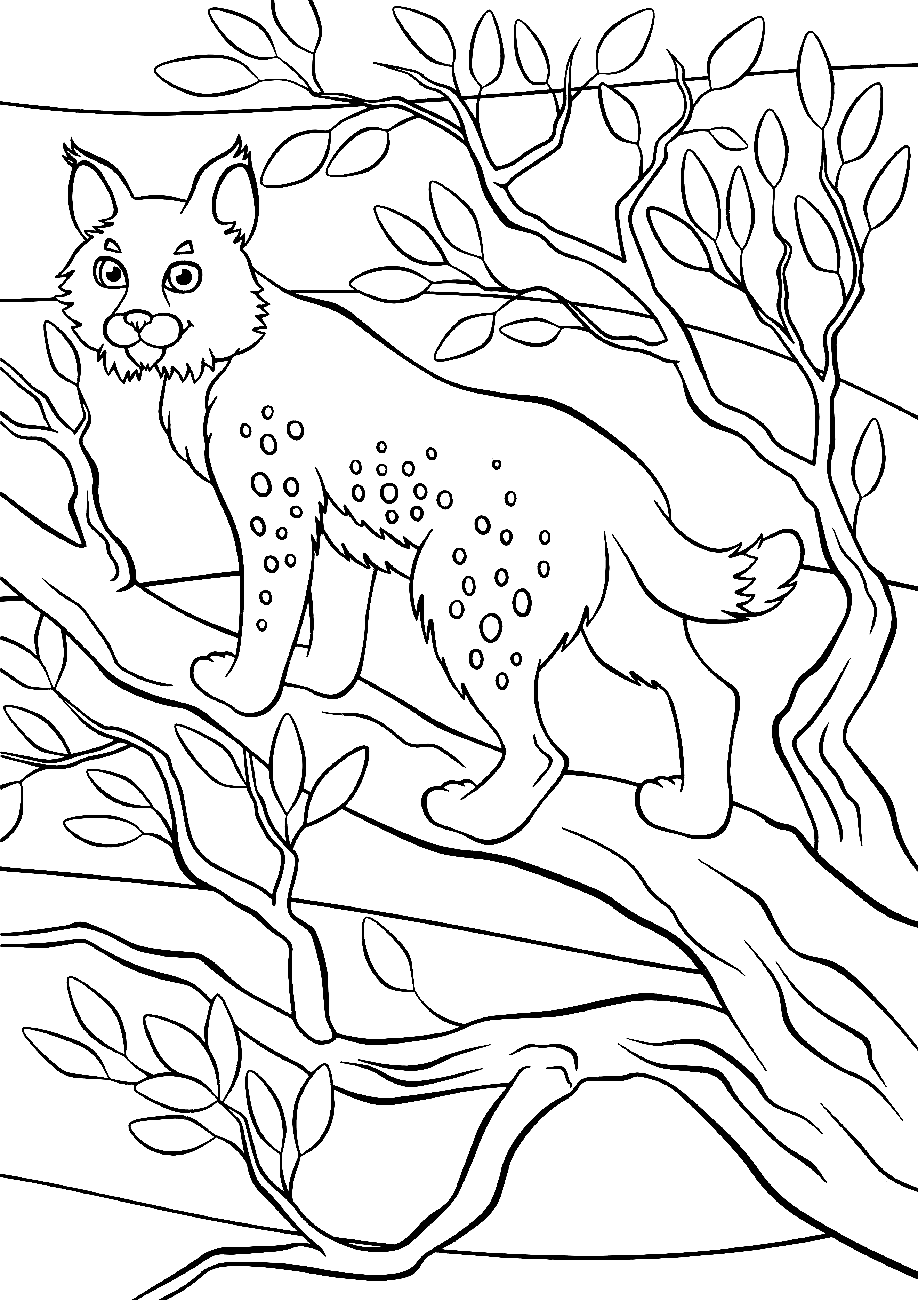 Lynx Standing on the Tree Coloring Pages