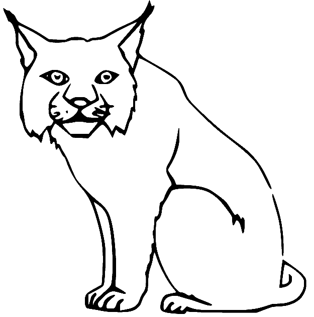 Lynx on the Ground Coloring Page