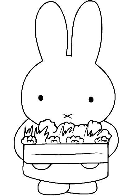 Miffy Holds Vegetables Coloring Page
