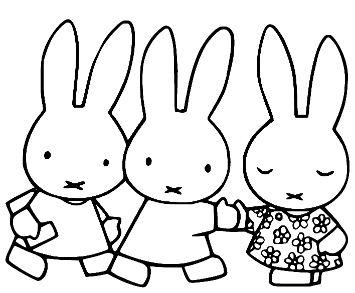 Miffy Shakes Hands with Friends from Miffy