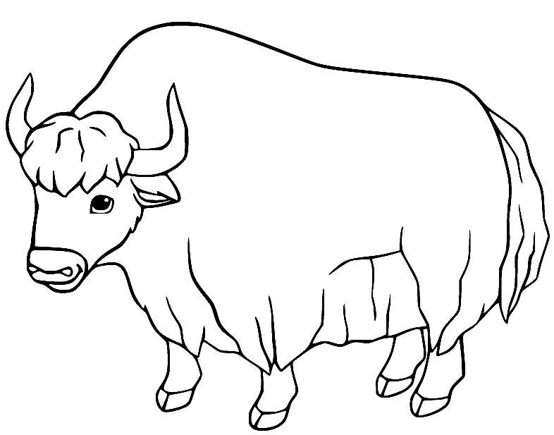 牦牛的可打印牦牛
