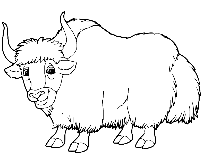 Realistic Yak Coloring Pages