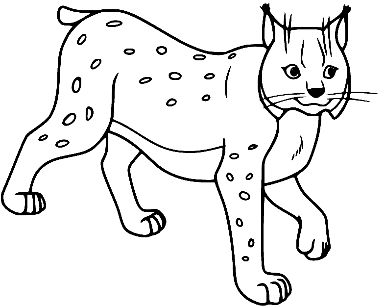 Running Lynx Coloring Page