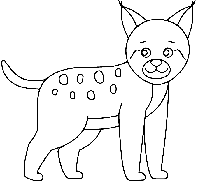 Lince simples de desenho animado de Lynx