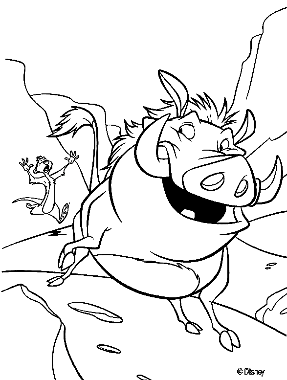Dibujo de Timon persiguiendo a Pumba para colorear