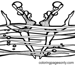 Water Sports Coloring Pages
