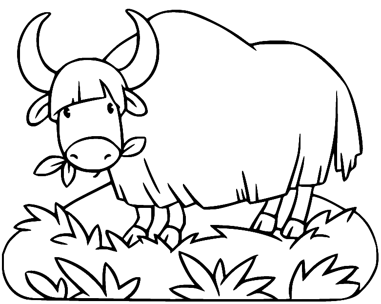 Yak Eating Grass Coloring Page