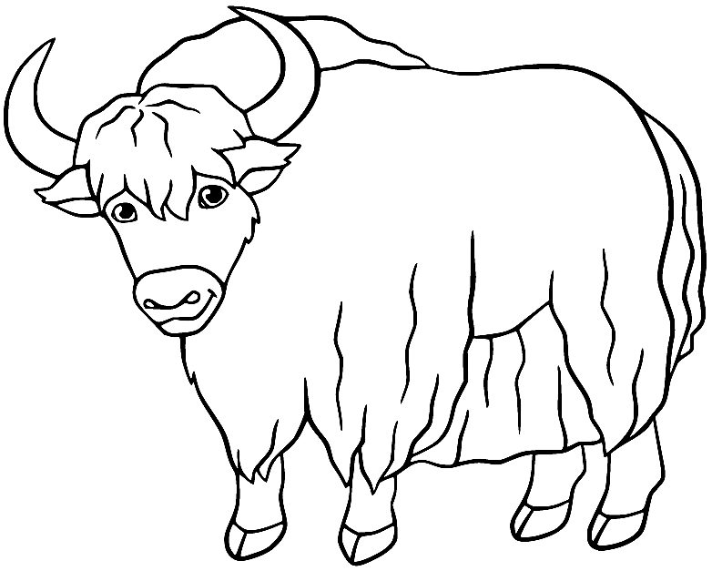 Yak Image Coloring Pages