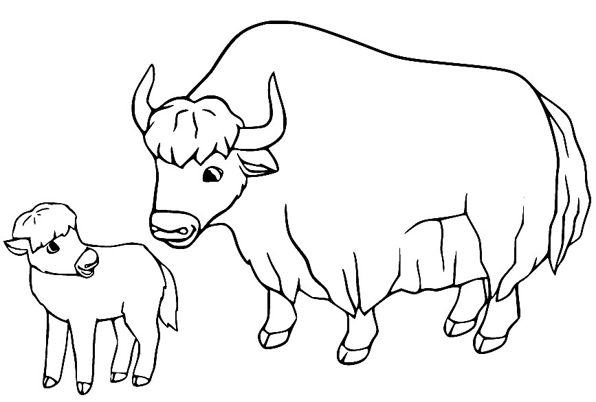 Yak and Her Baby Coloring Page
