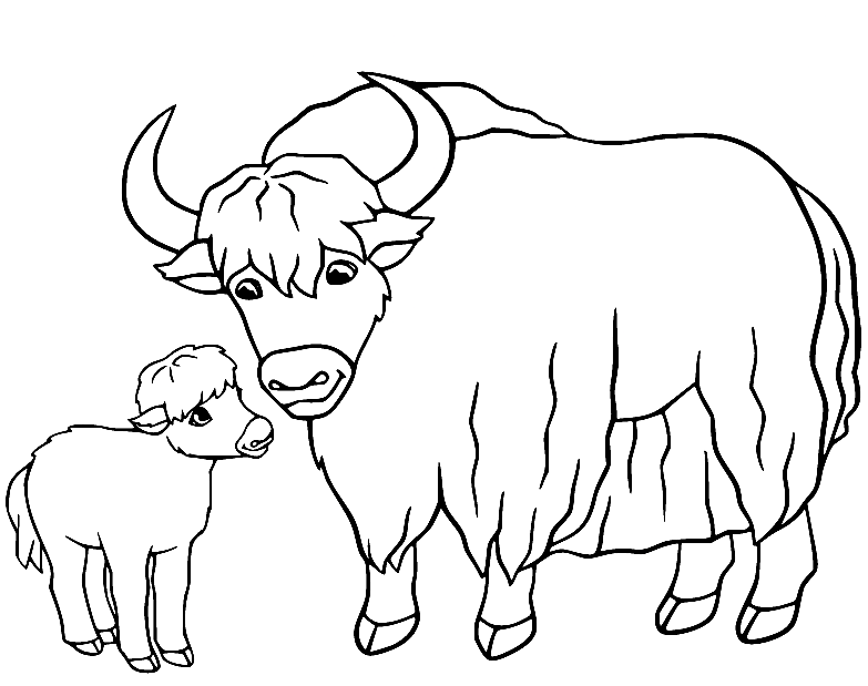 Yak with Little Yak Coloring Page