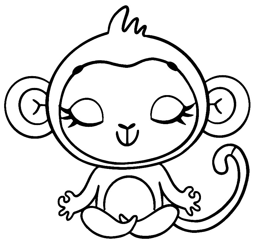 Mono de yoga de Yoga