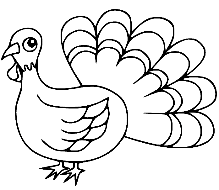 Cartoon Turkey Sheets Coloring Pages