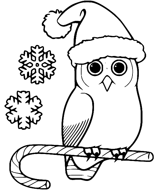 可爱的猫头鹰与拐杖糖来自可爱的圣诞节