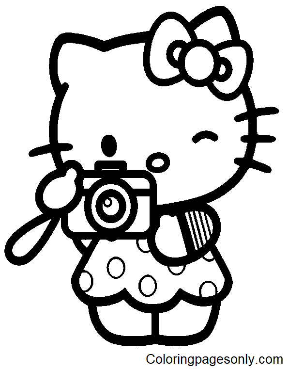 A gatinha adora fotografia da Hello Kitty