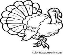 Turkey Coloring Pages - Coloring Pages For Kids And Adults