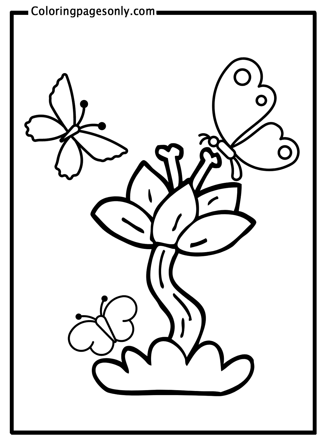 Three Butterflies With A Flower Coloring Pages