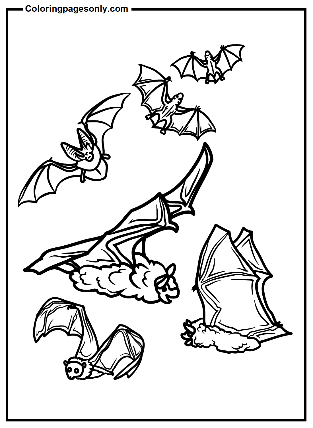 Bats Picture Coloring Pages