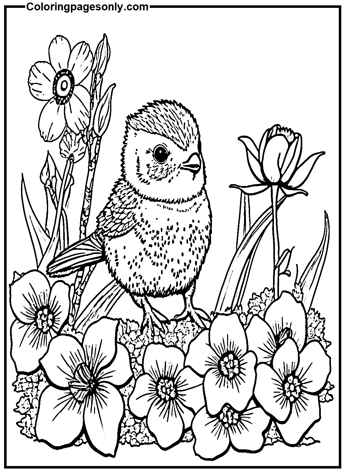 Vogel en Bloemen uit maart 2024