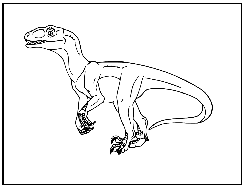Dinosaur Velociraptor Sheets Coloring Pages